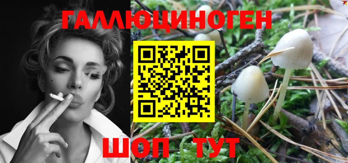 Галлюциногенные грибы GOLDEN TEACHER  Вход с VPN  Россия 