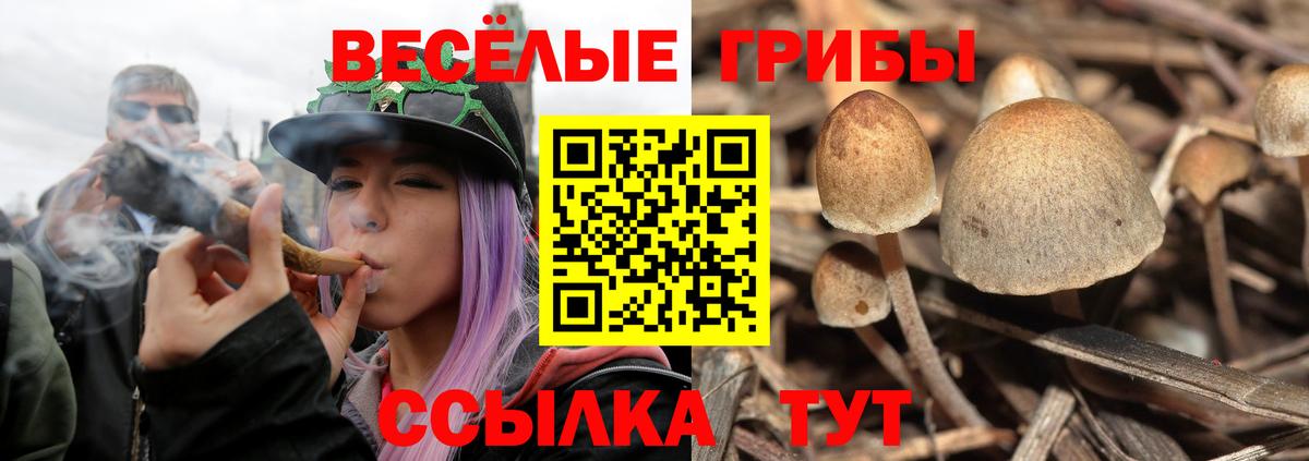 Псилоцибиновые грибы мухоморы Россия